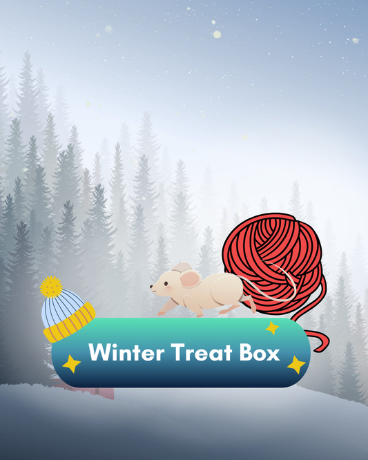 Winter Festive Treat Box