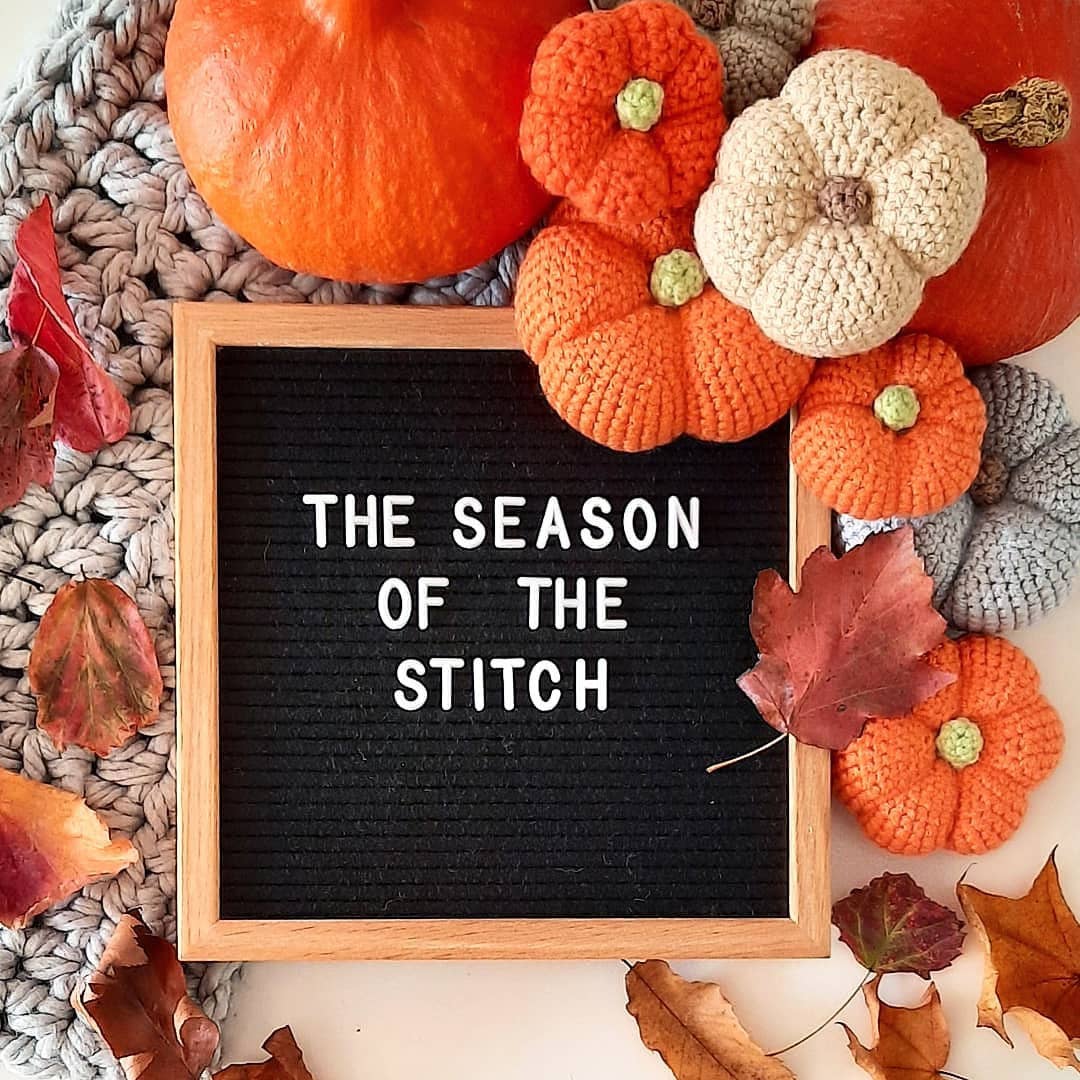 Pumpkin Printed Crochet Pattern | Autumn Fall Project Idea